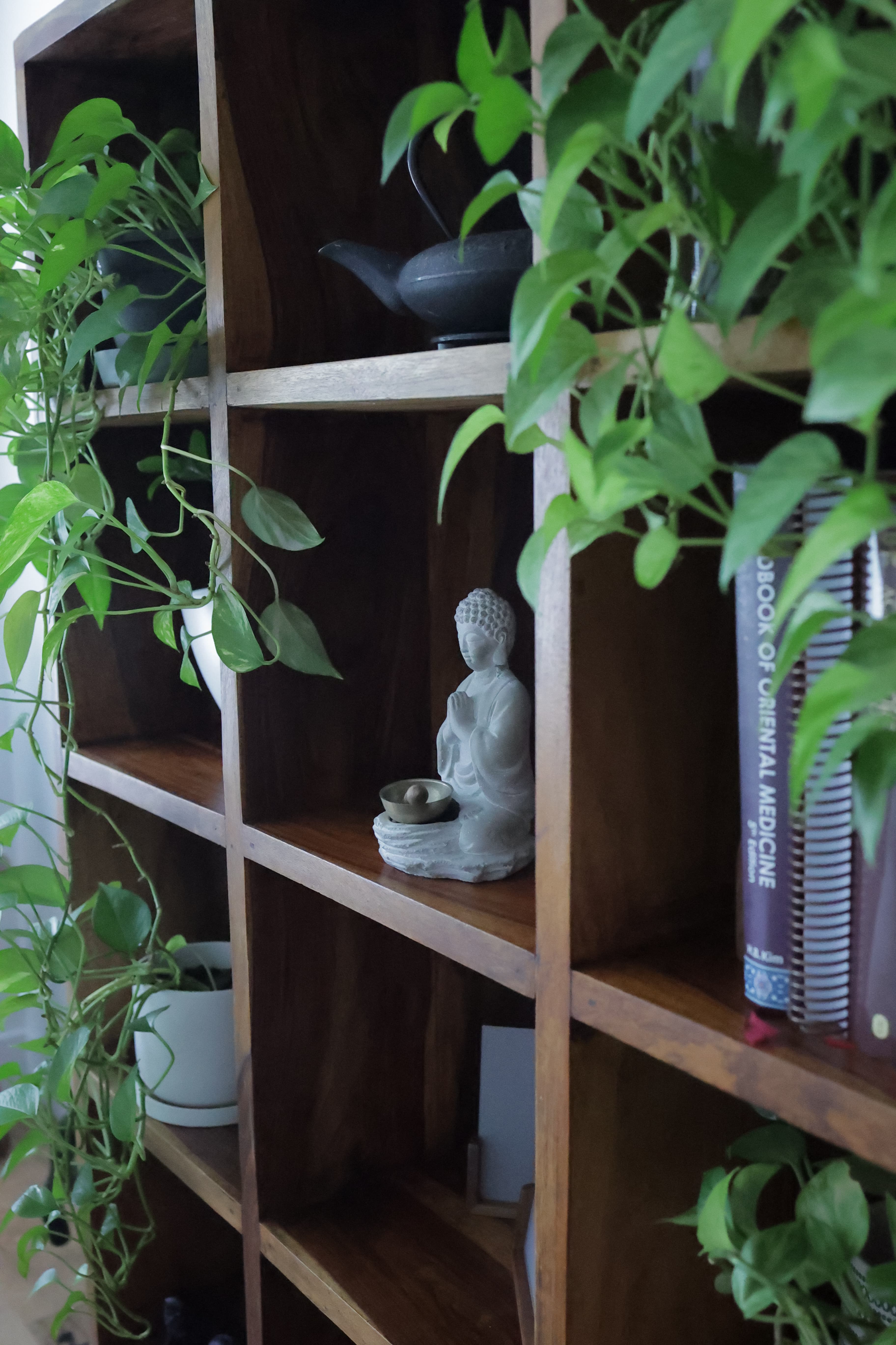 Massage therapy background